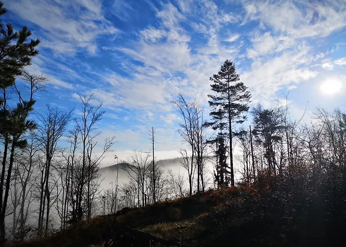 펜션 Solarna Eko Divčibare